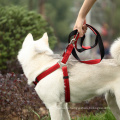 China retractable chain dog harness soft / Pet collars and leashes